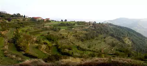 Vedute
