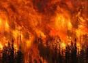 Corpo Volontari antincendi Boschivi del Piemonte - Squadra A.I.B. VESIME - ROCCAVERANO